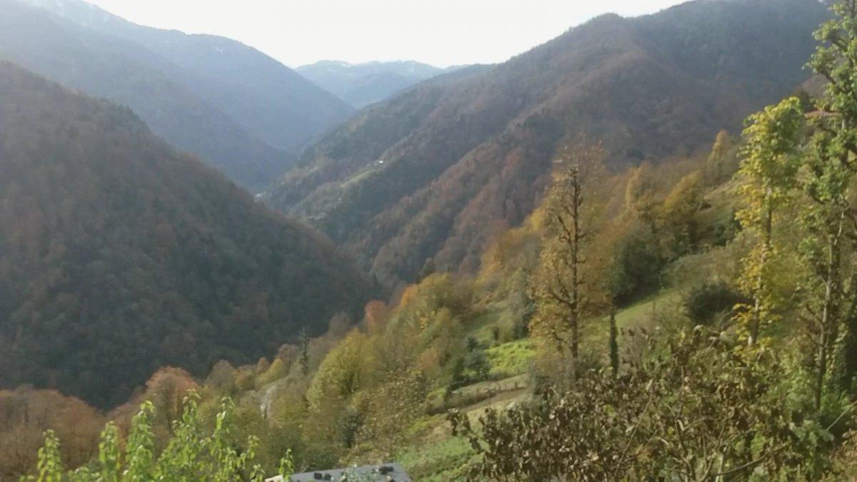 Çamlıhemşin’deki 6 mahalleye, uğur böcekleri dadandı