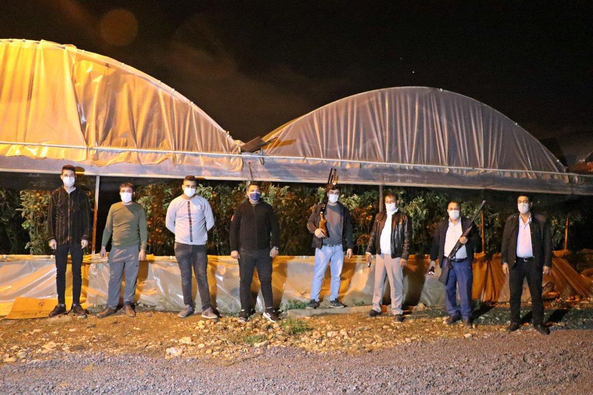 Antalya’da çiftçiler domates hırsızlarına karşı gece nöbeti tutuyor