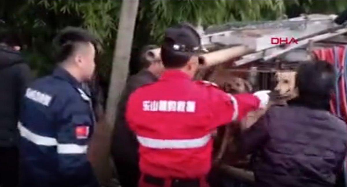 Çin’de öldürülerek sosis yapılması planlanan 40 köpek bulundu