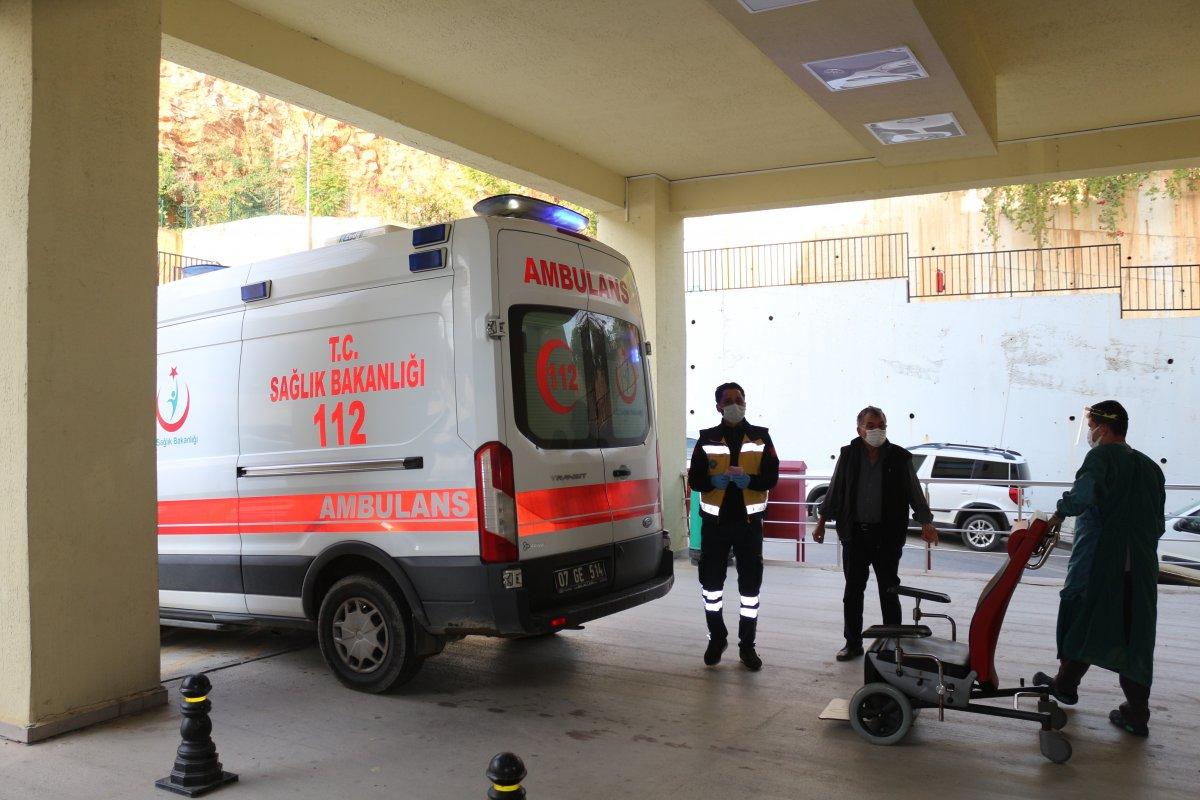 Antalya'da avokado ağacını düzeltmek isterken canından oluyordu