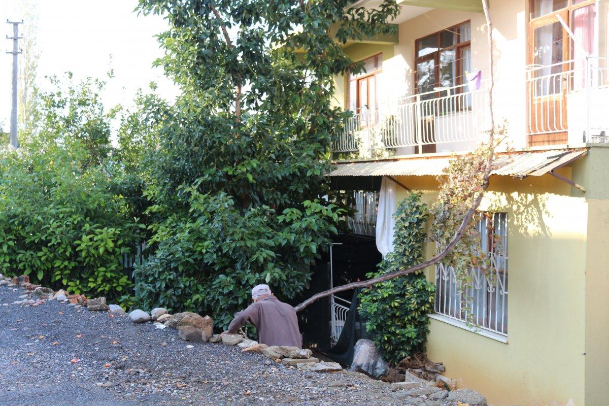 Antalya'da avokado ağacını düzeltmek isterken canından oluyordu