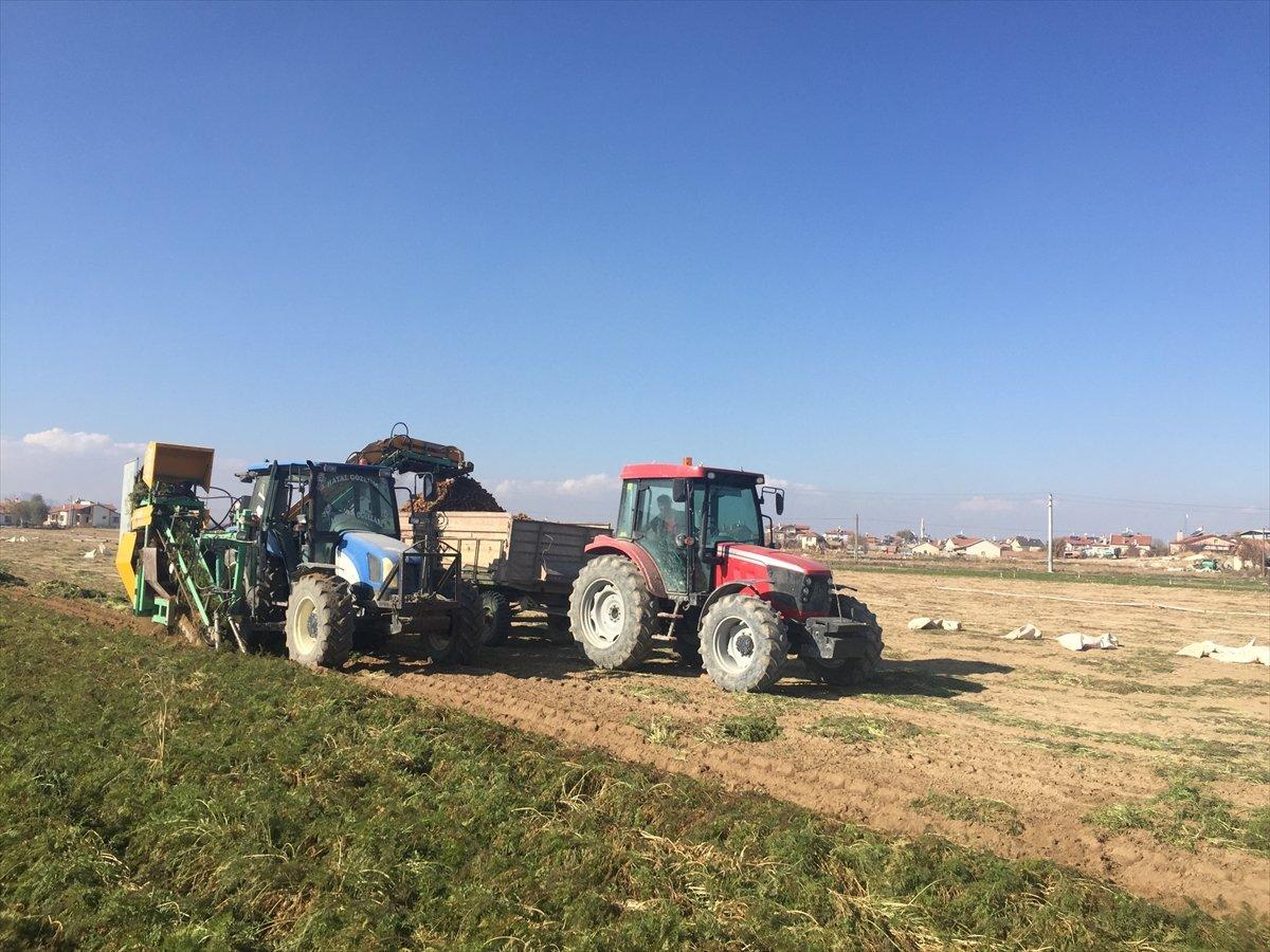 Kaşıhanı Türkiye'nin havucunun yüzde 707ini üretiyor