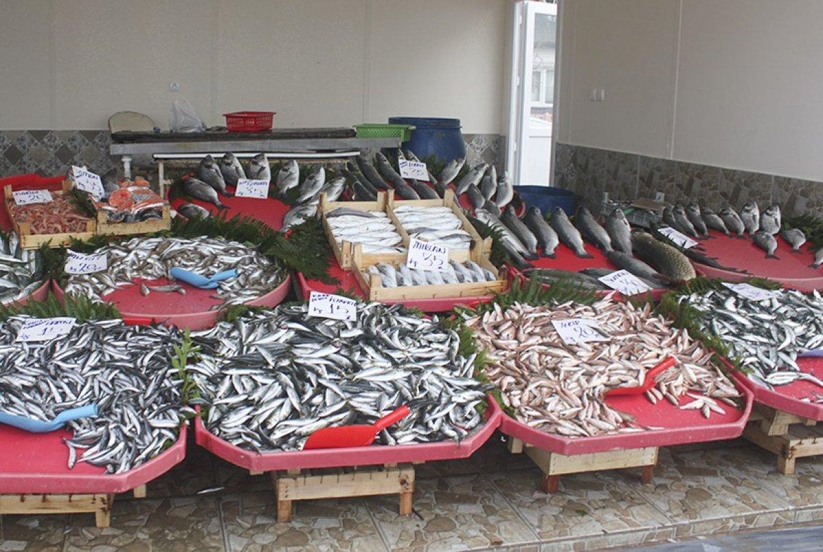 Tekirdağ'da balıkçıdan 10 bin TL değerinde çinekop çalındı