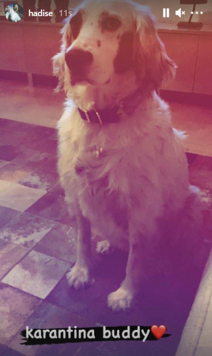 Kaan Yıldırım, Hadise'yle fotoğrafını paylaştı