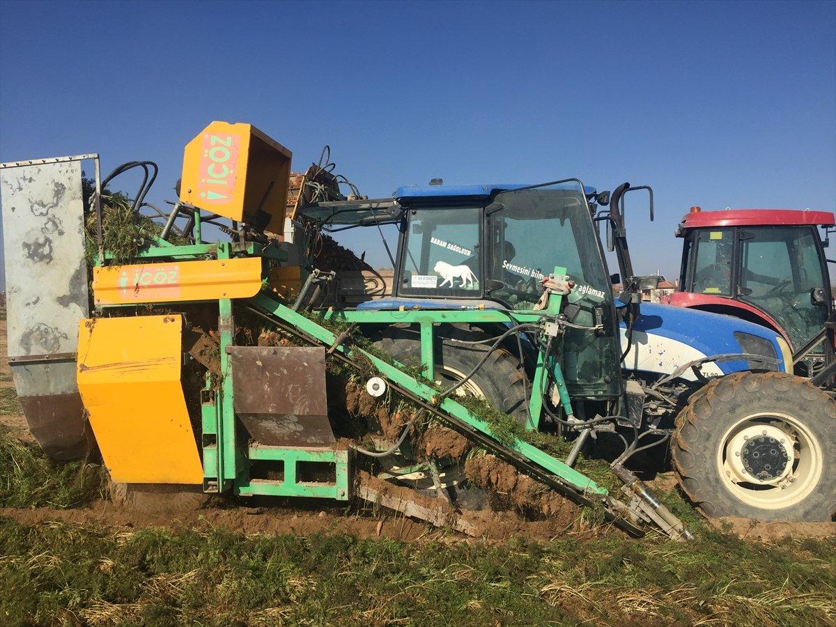 Kaşıhanı Türkiye'nin havucunun yüzde 707ini üretiyor