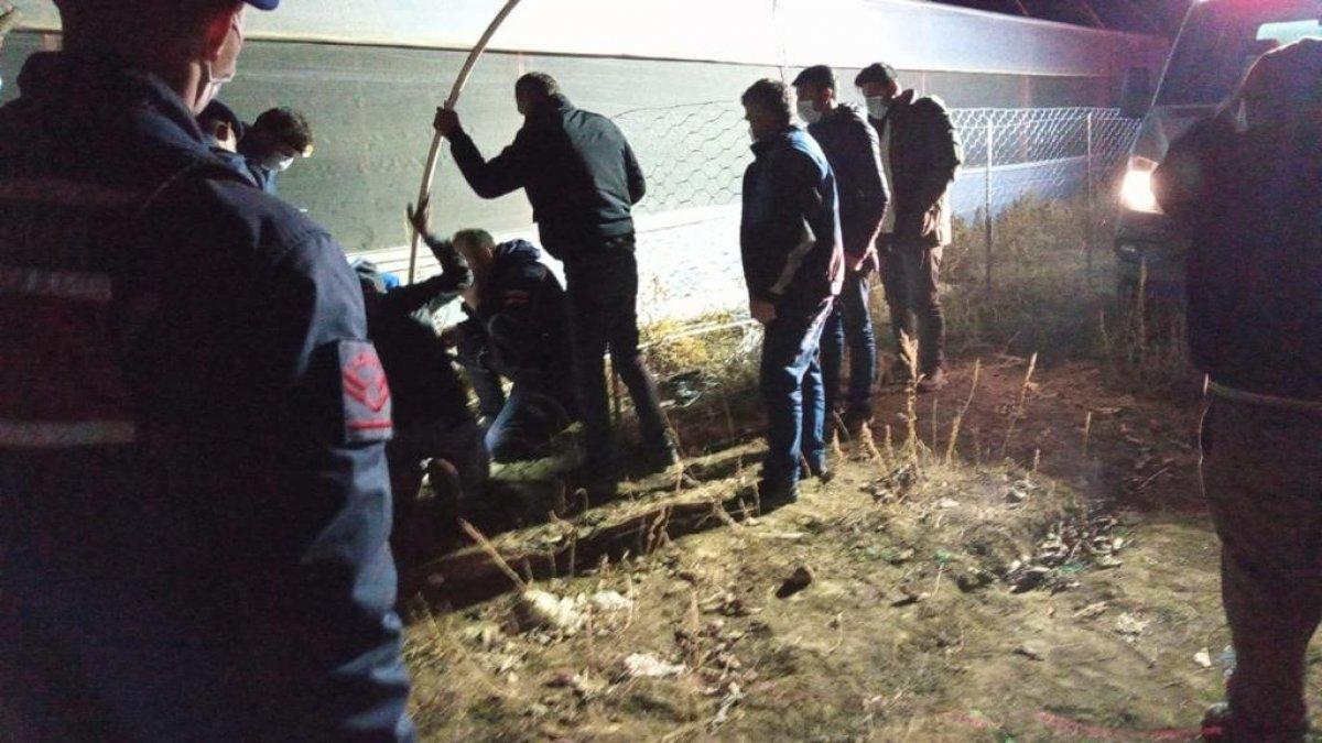 Burdur'da sondaj kuyusuna düşen köpek kurtarıldı