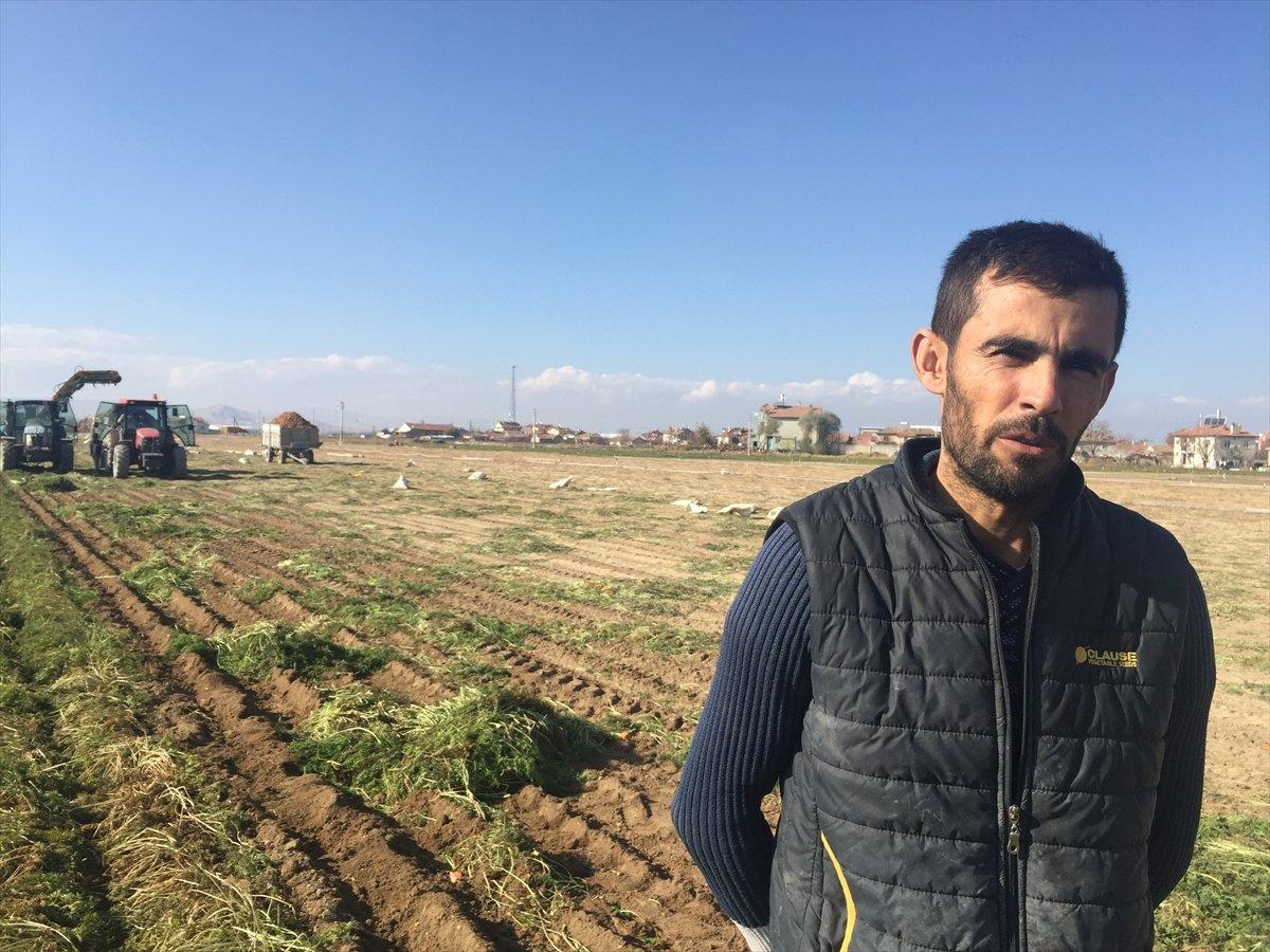 Kaşıhanı Türkiye'nin havucunun yüzde 707ini üretiyor