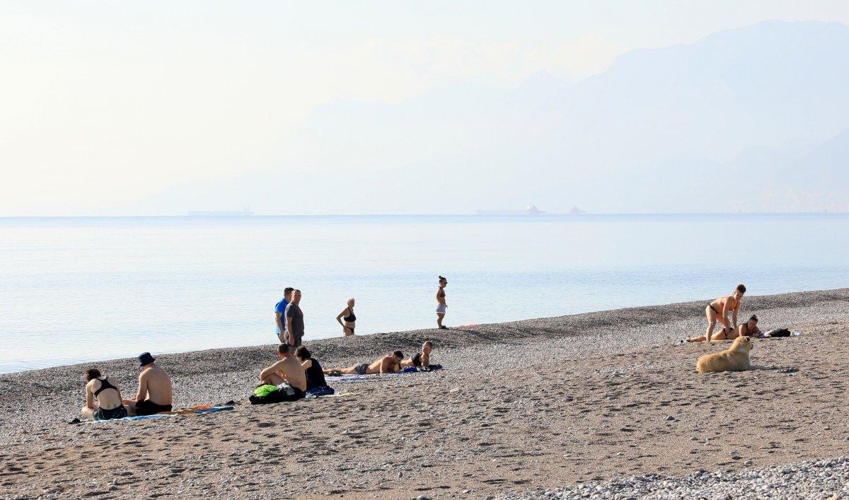 Vaka artışı yüzde 100 Antalya'da, sahiller turist ve köpeklere kaldı