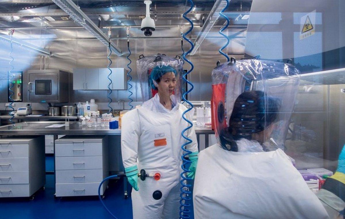 Çinli doktor: Yarasaların taşıdığı başka koronavirüsler de olabilir