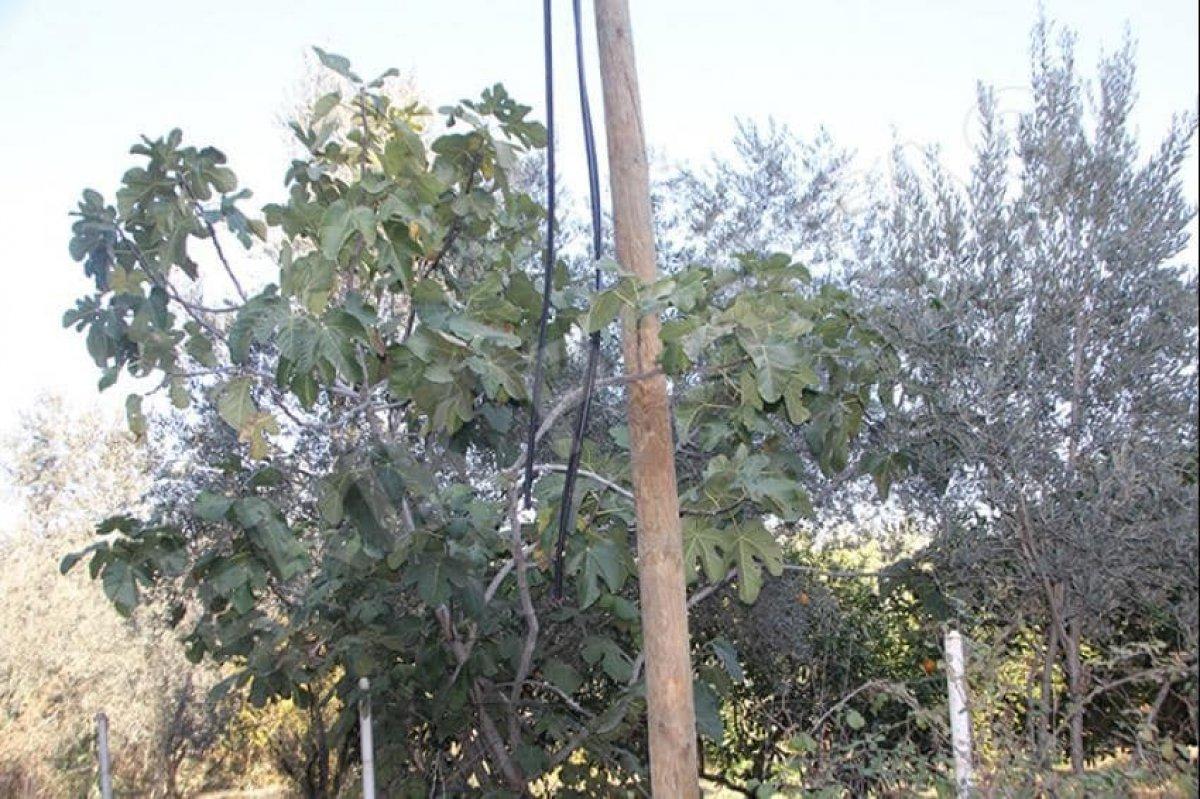 Zonguldak'ta kabloları çalan hırsızlar 20 köyü internetsiz bıraktı
