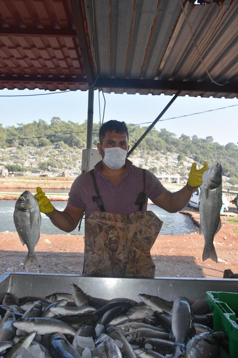 Toprak havuzda balık yetiştiriyorlar