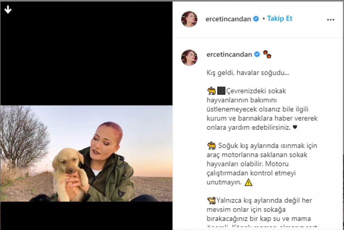 Candan Erçetin: Köpekleri sokağa bırakmayın