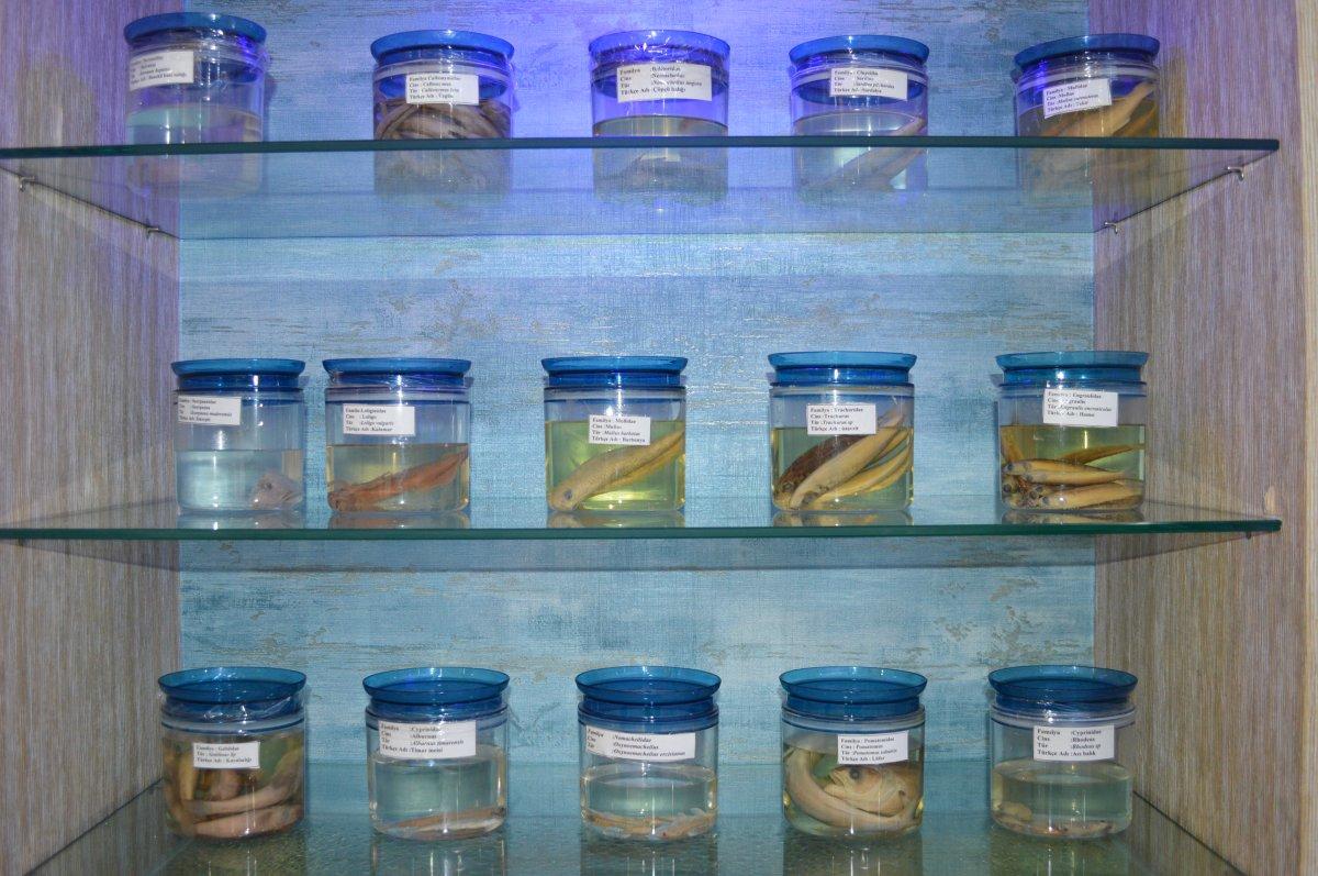 Elazığ'daki Balık Müzesi ilgi çekiyor