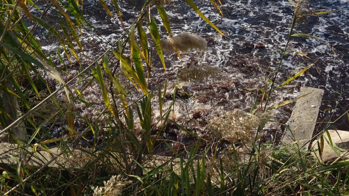 Bursa'da fabrika atıkları suları kirletiyor