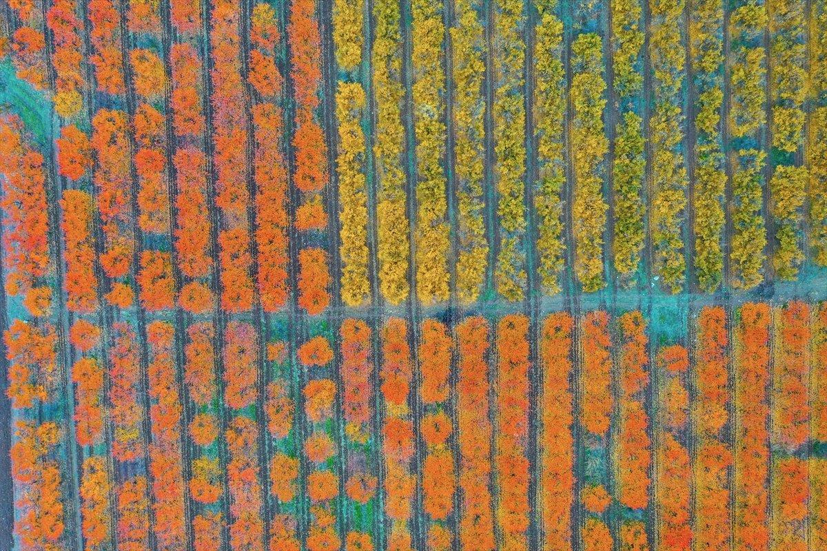 Amanos Dağları'ndan kartpostallık görüntüler