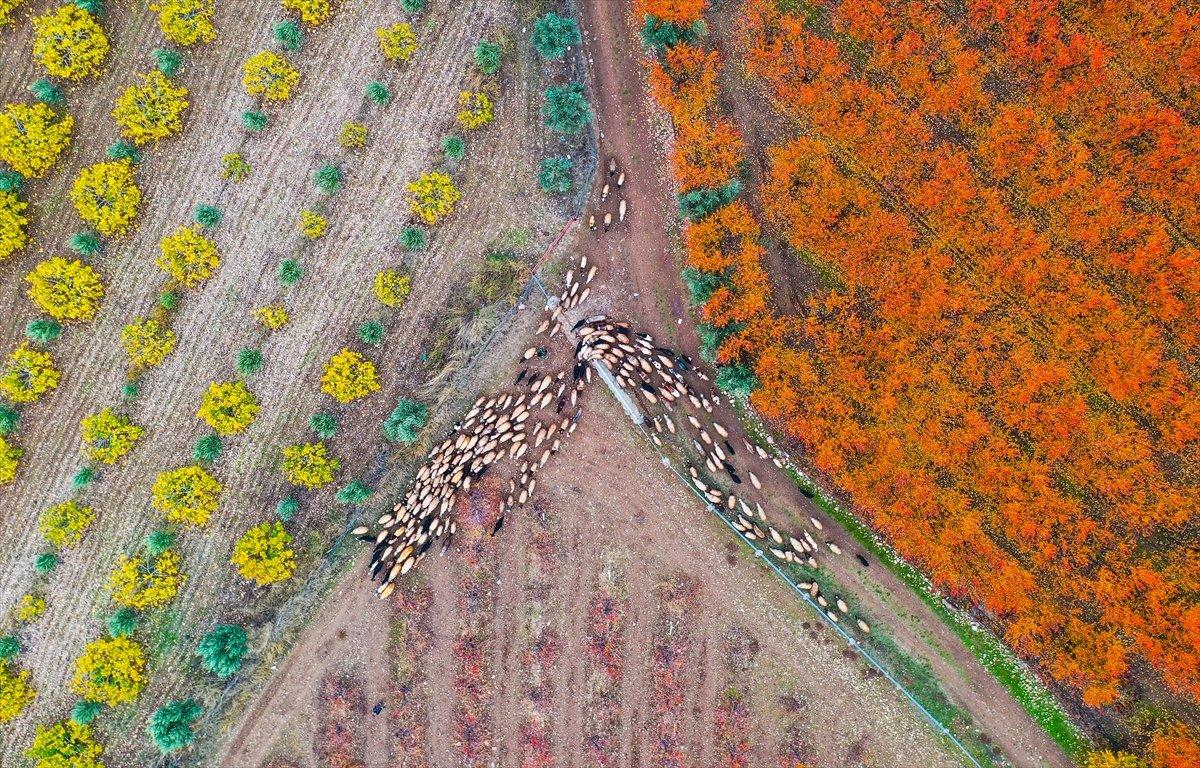 Amanos Dağları'ndan kartpostallık görüntüler