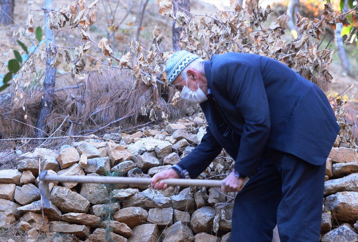 Mardinli Şeyhmus Amca, kendi çabasıyla orman oluşturdu