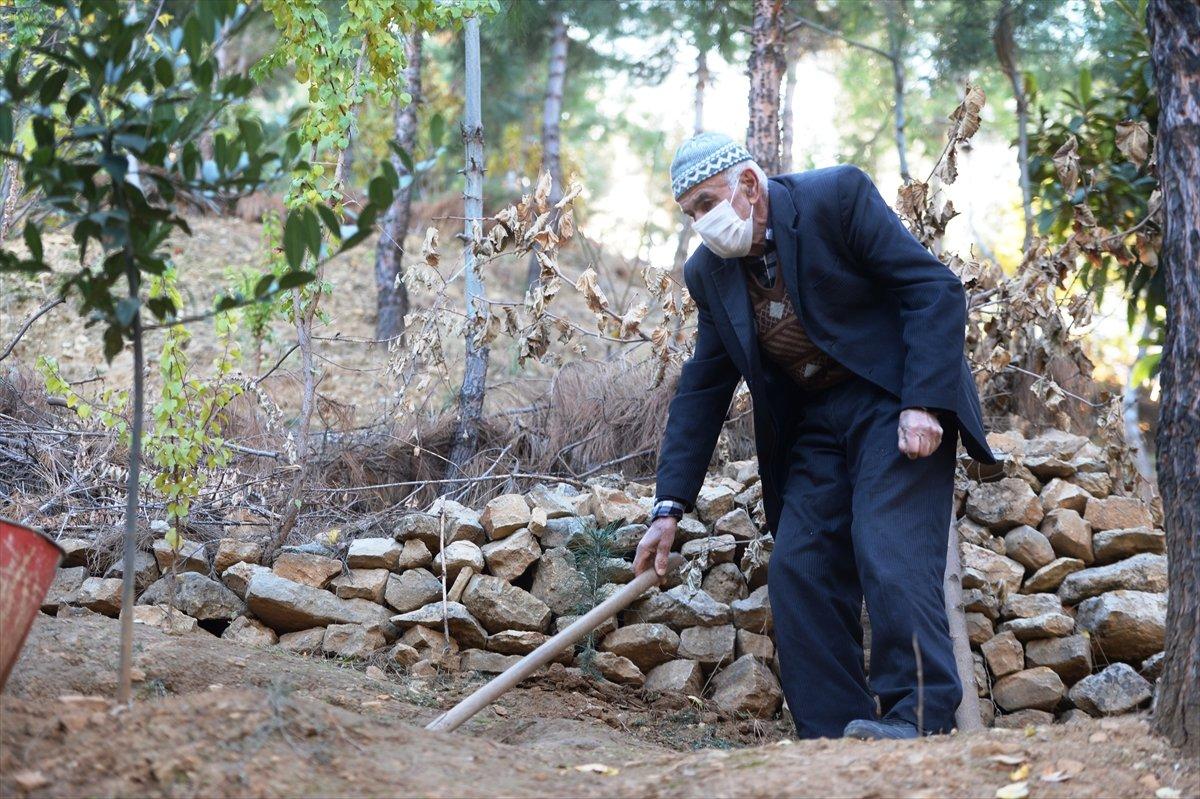 Mardinli Şeyhmus Amca, kendi çabasıyla orman oluşturdu