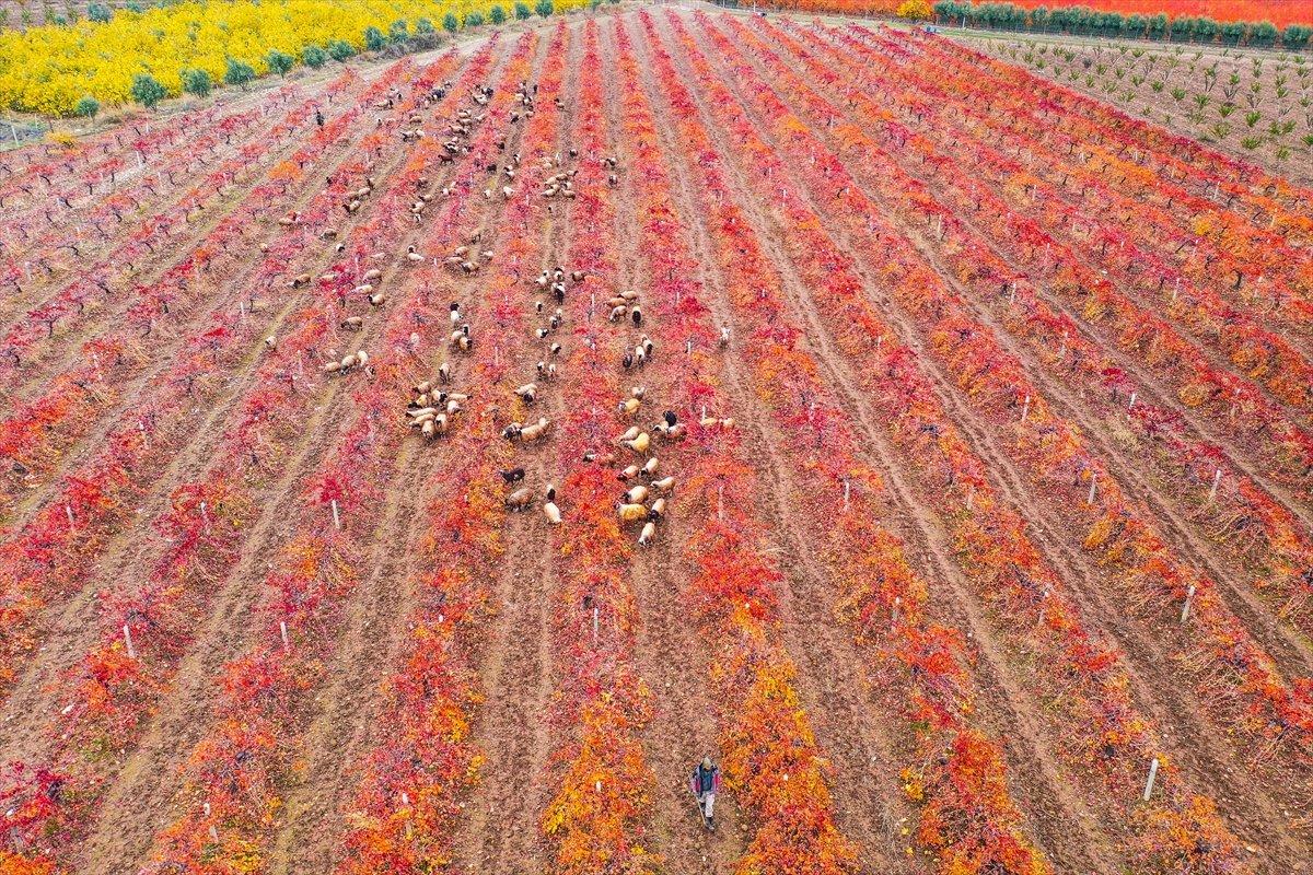 Amanos Dağları'ndan kartpostallık görüntüler