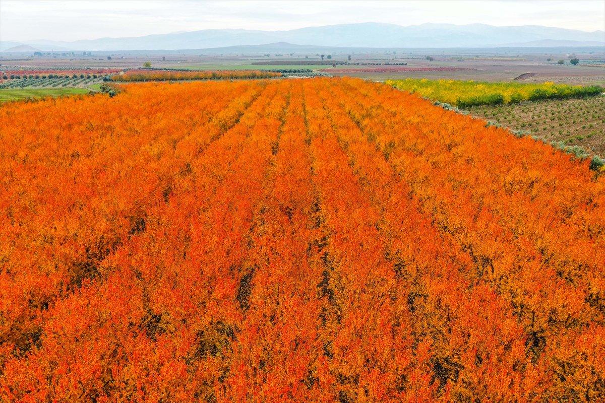Amanos Dağları'ndan kartpostallık görüntüler