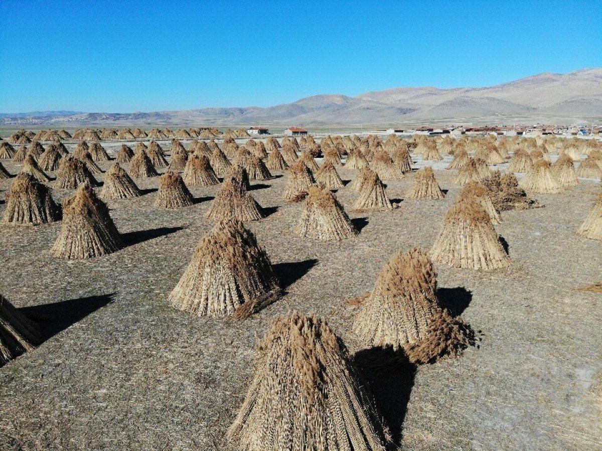Eber Gölü’nde 1 milyon dolar küle döndü