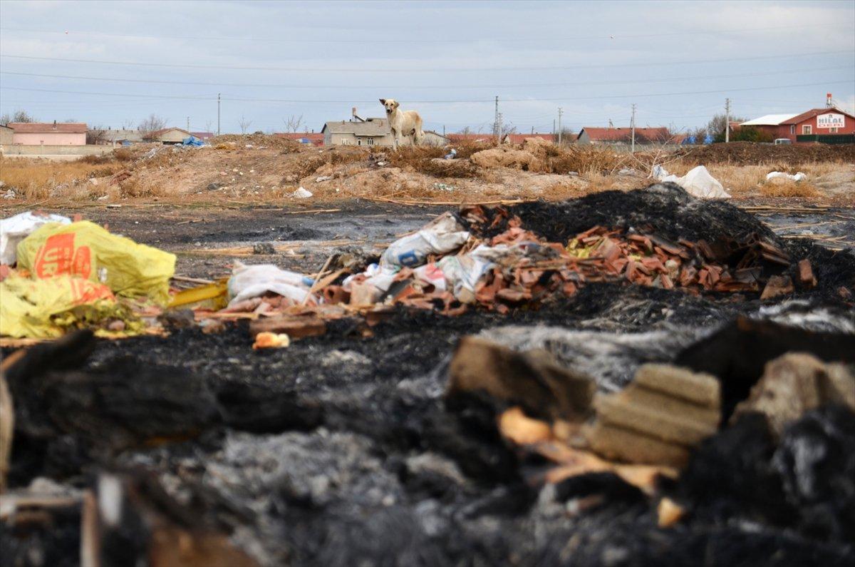 Konya'da ateşe verilen kulübedeki 9 yavru köpek öldü