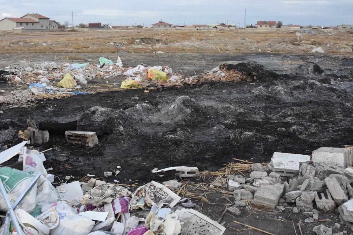 Konya'da ateşe verilen kulübedeki 9 yavru köpek öldü