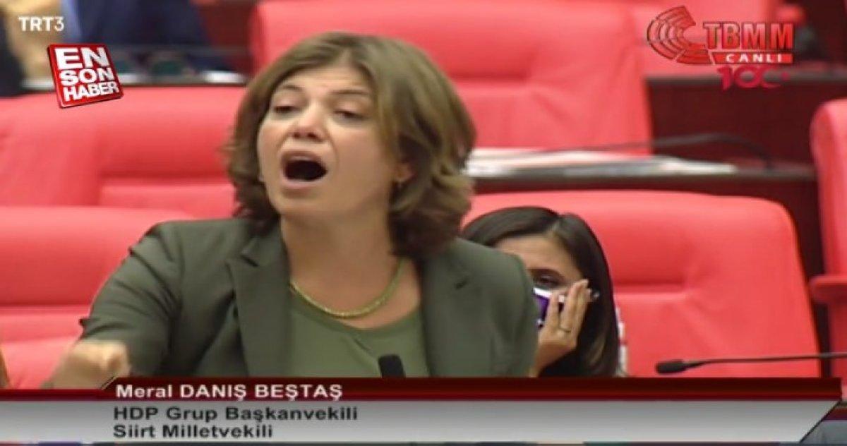 Meral Danış Beştaş: Tuma Çelik suçludur diyemezsiniz