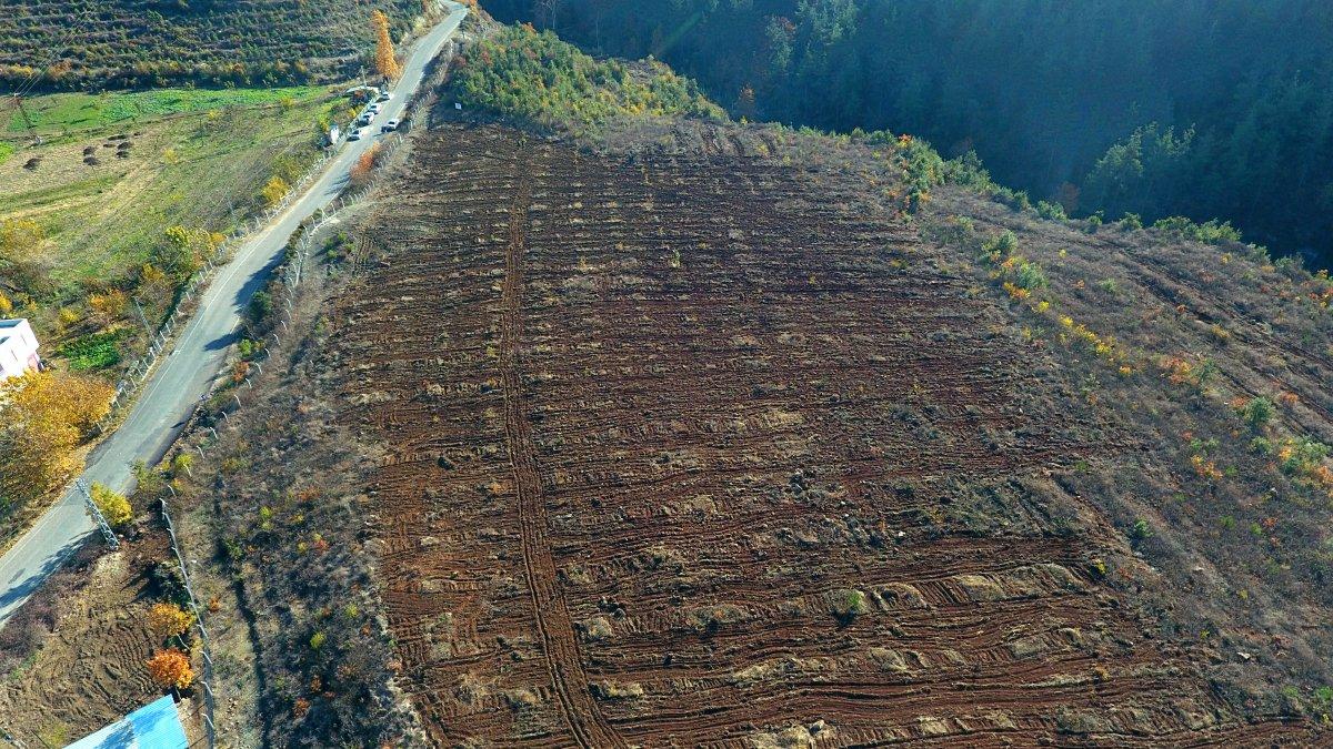 Kahramanmaraş'ta trüf mantarının ilk hasadı yapıldı