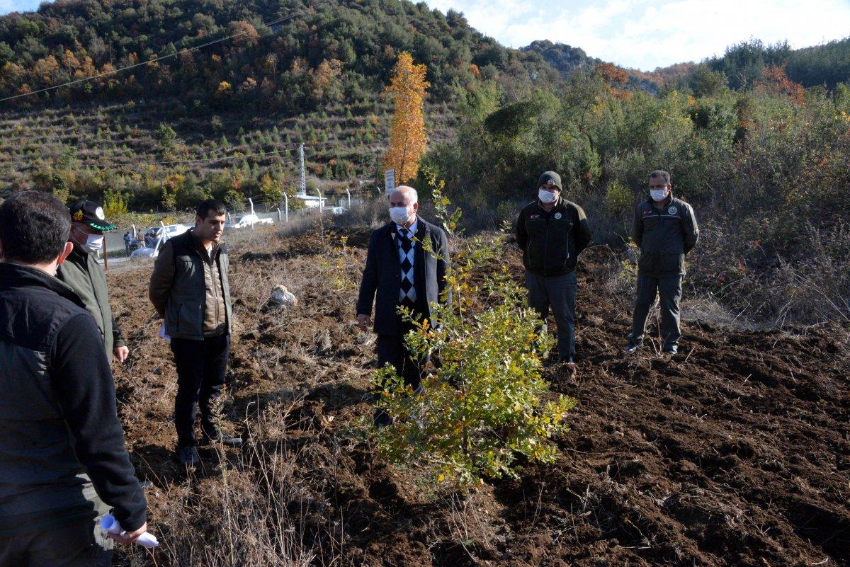 Kahramanmaraş'ta trüf mantarının ilk hasadı yapıldı