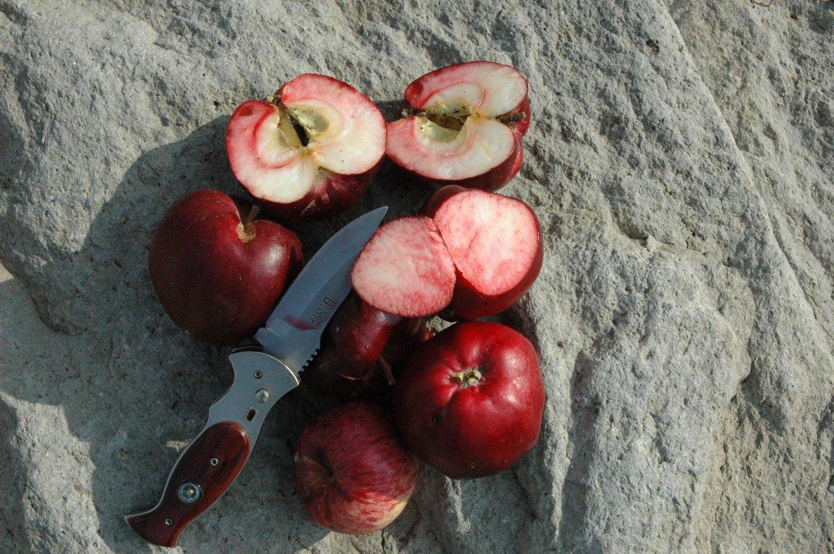 İçi dışı kırmızı elmada taleplere yetişilemiyor