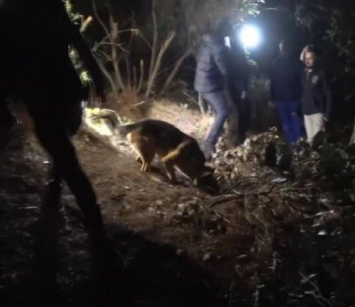 İzmir'de kayıp olan Mert Kayacan’ın cansız bedeni ormanlık alanda gömülü bulundu