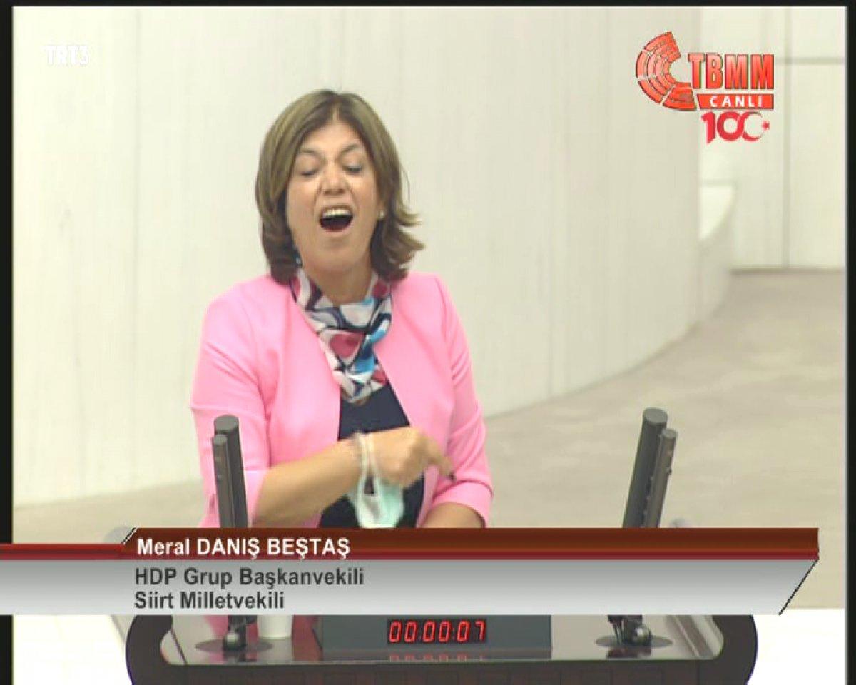 Meral Danış Beştaş: HDP'nin bu ülkeyi bölmeye niyeti yok