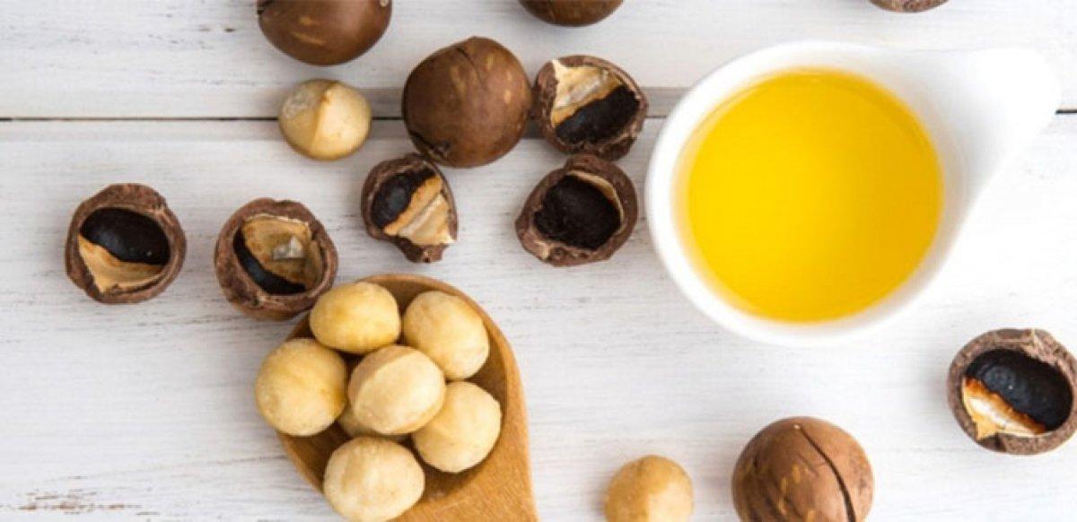 Cadı fındığı nedir, faydaları nelerdir? Cadı fındığı yağı nasıl kullanılır?