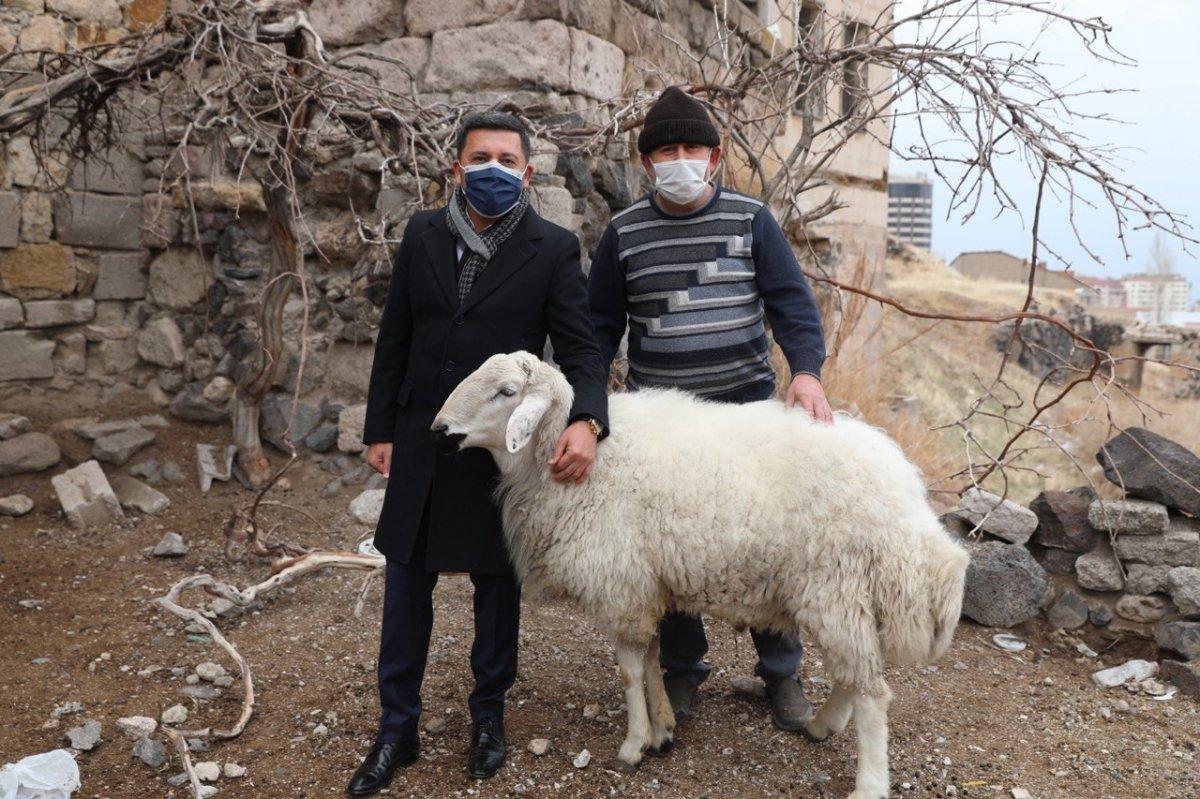 Nevşehir Belediyesi'ni basan küçükbaşlara ziyaret