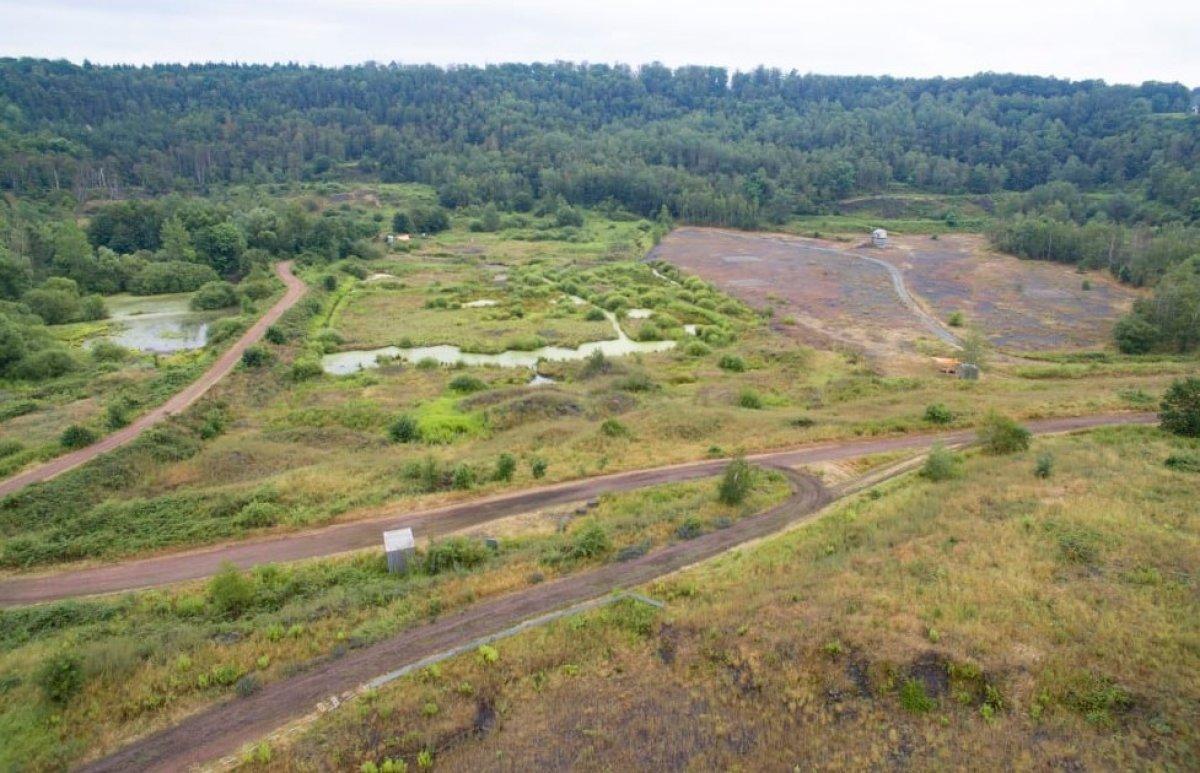 Almanya'da 47 milyon yıllık piton yılanı fosili bulundu