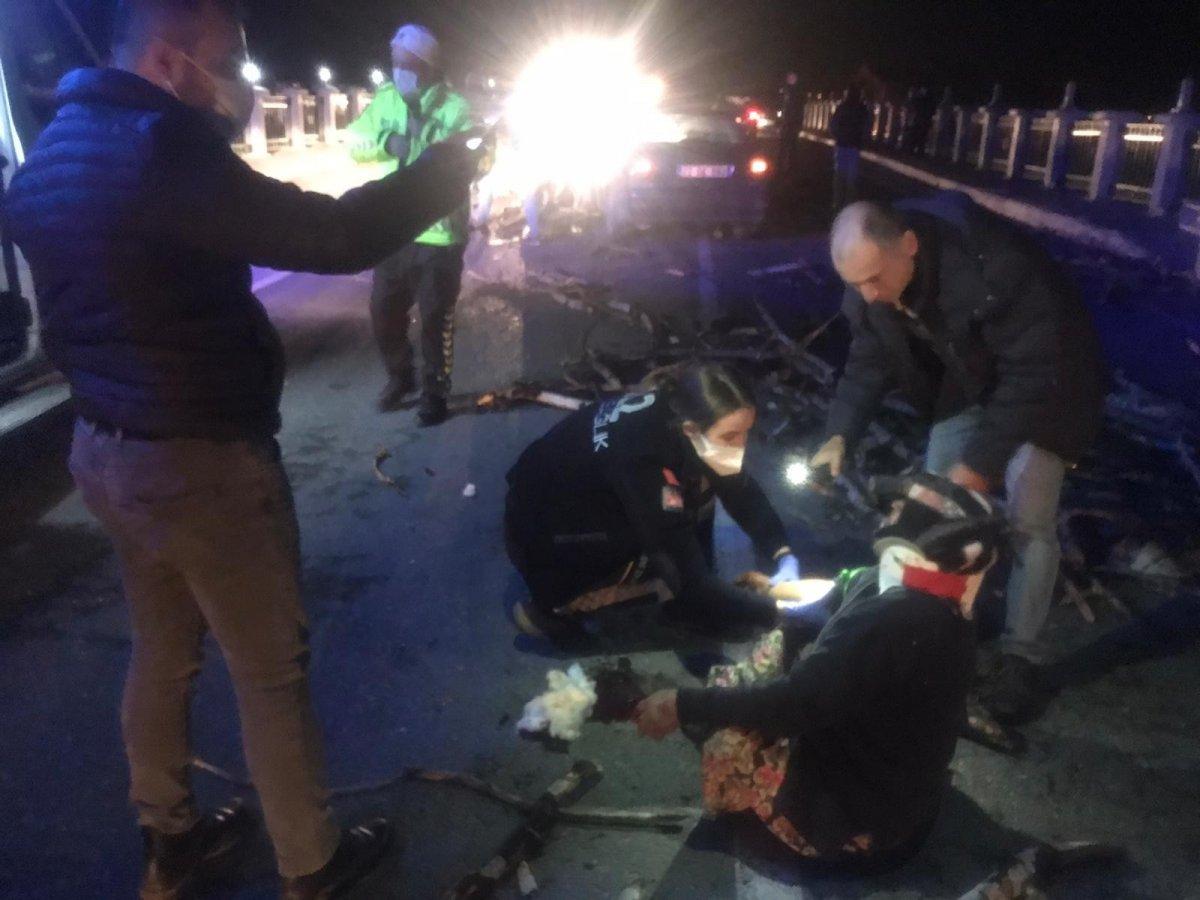 Edirne'de kazada yaralanan at saatlerce tedavi edilmeyi bekledi