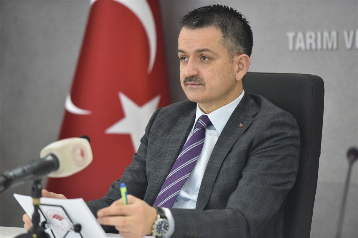 Bekir Pakdemirli: Fındık alım süresi uzatıldı