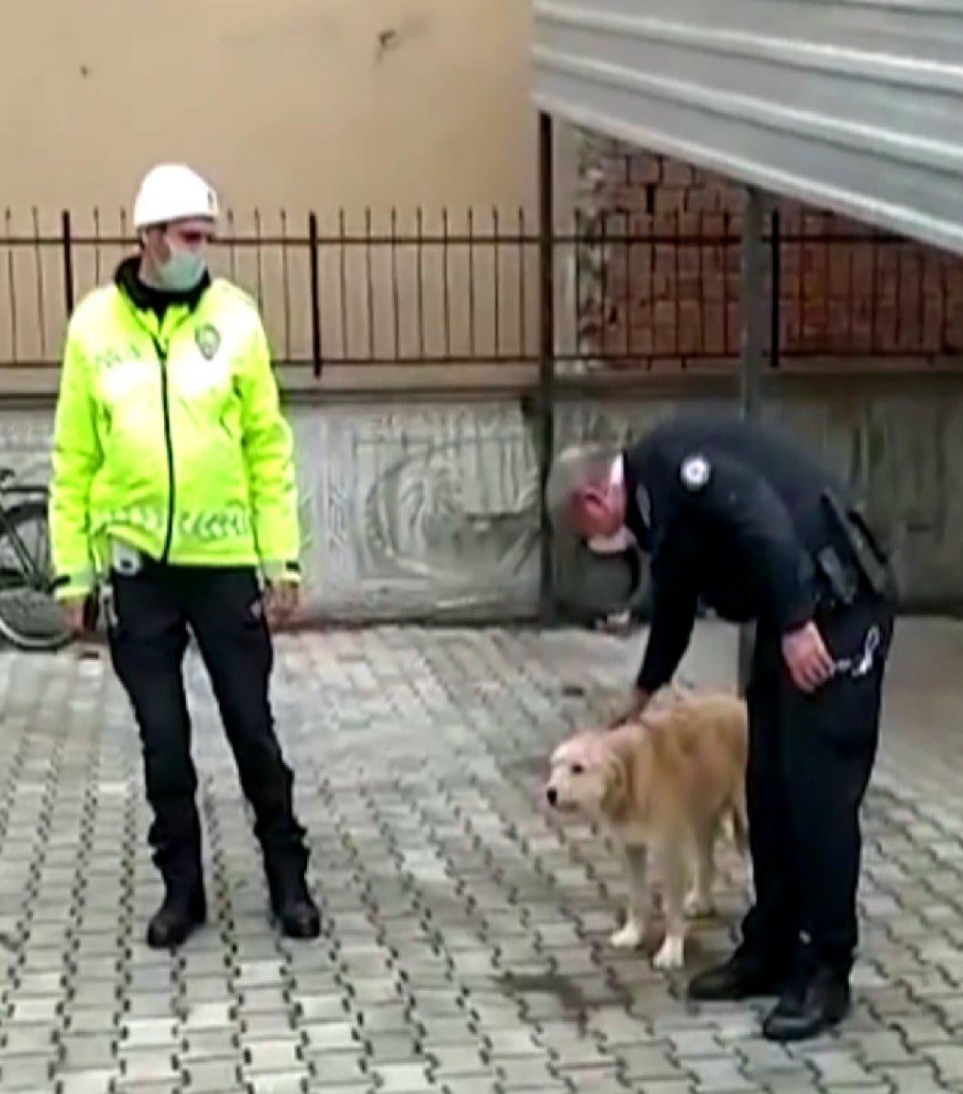 Konya'da köpeği döven şahıs polis tarafından yakalandı