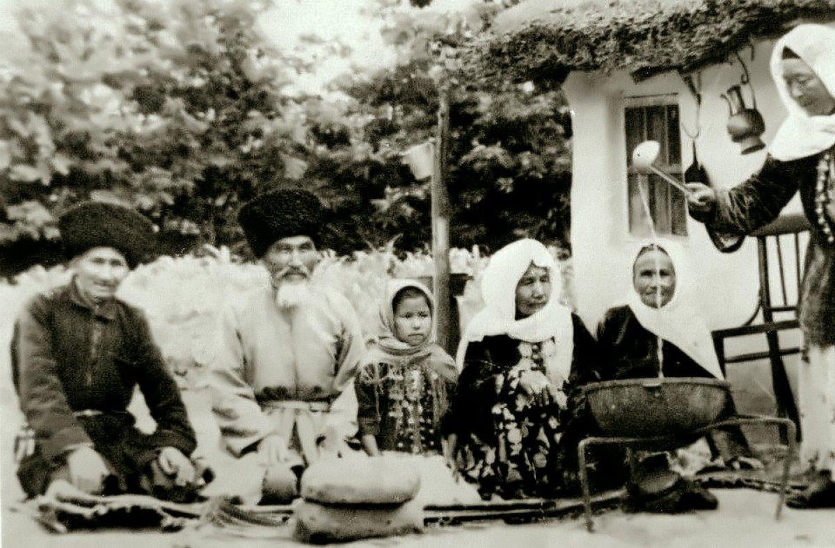 Nogay çayı nedir, faydaları nelerdir? Nogay çayı nasıl yapılır?