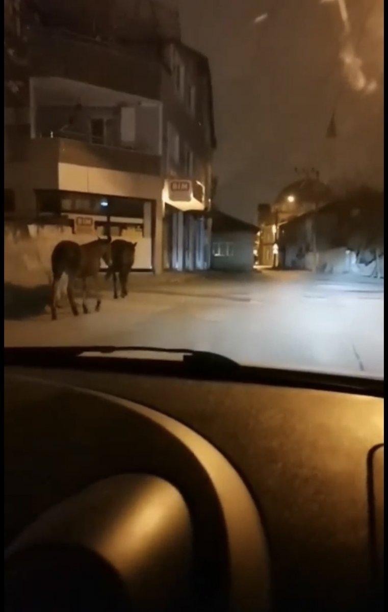 Bursa'da kısıtlama saatinde parkta okey pahalıya patladı