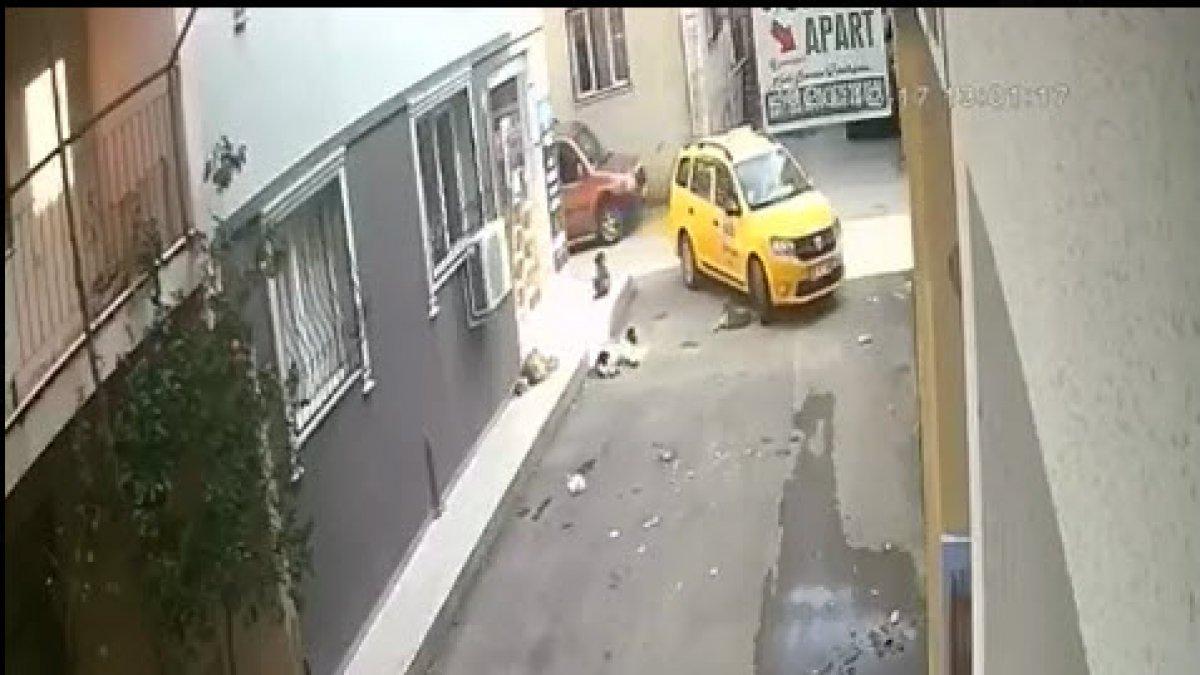İzmir'de yavru köpeğin üzerinden geçen taksi kamerada