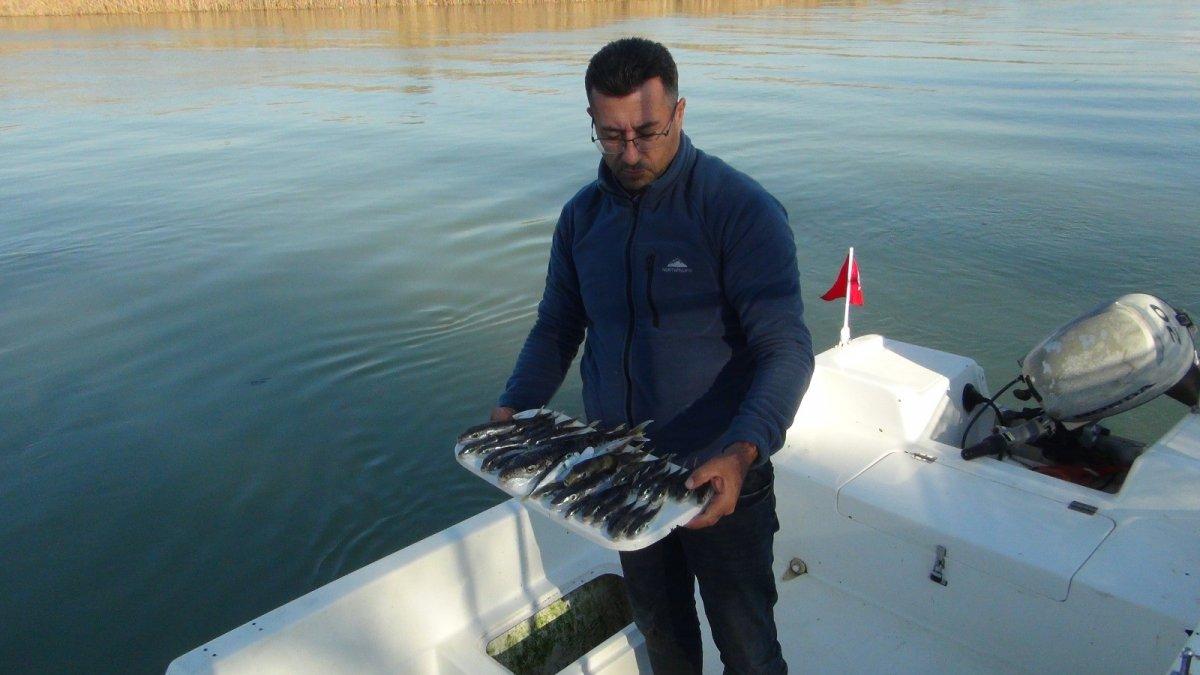 Amatör balıkçılar da balon balığı desteği istiyor