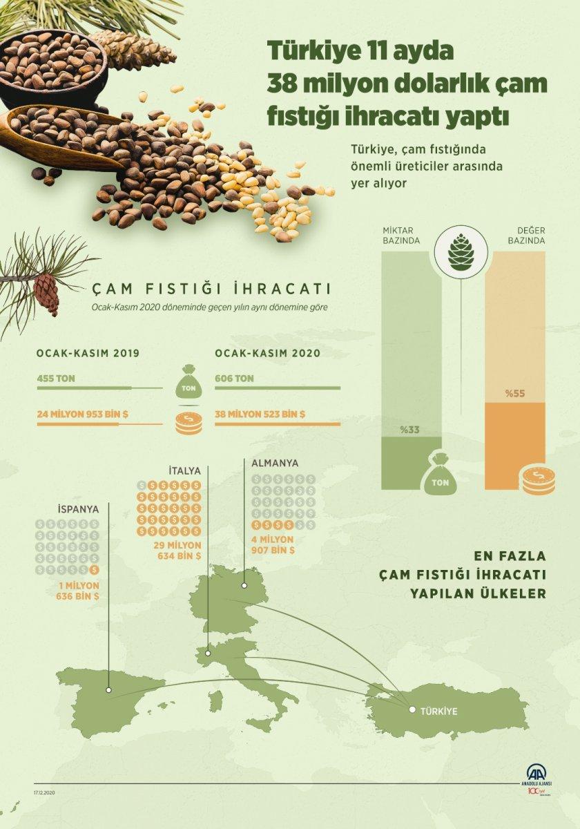 Çam fıstığı ihracatı arttı