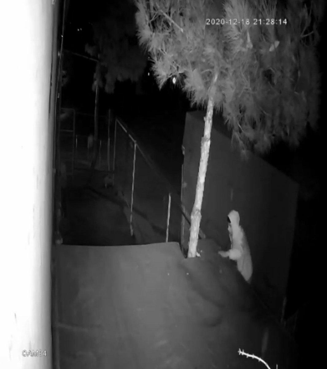 Bursa'da tavuk hırsızlığı