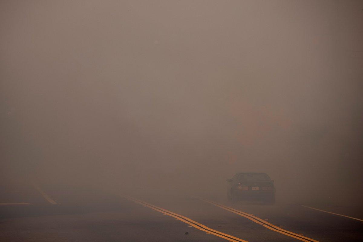 Orman yangınları, bulaşıcı hastalıkların yayılmasını kolaylaştırıyor