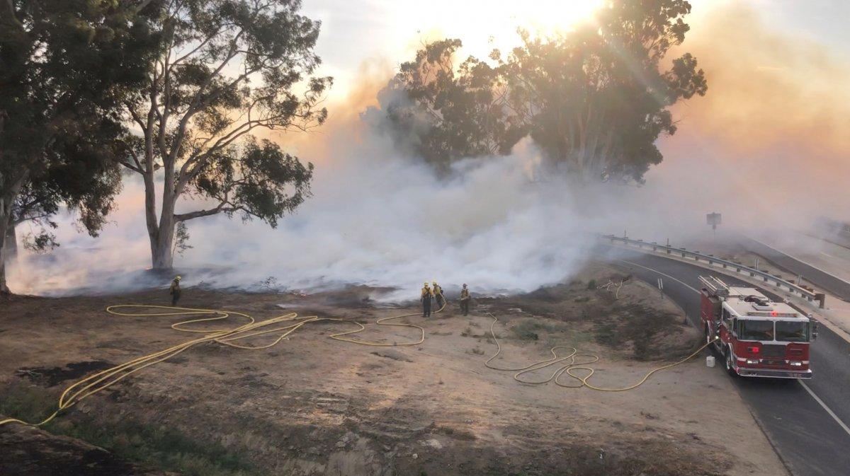 Orman yangınları, bulaşıcı hastalıkların yayılmasını kolaylaştırıyor