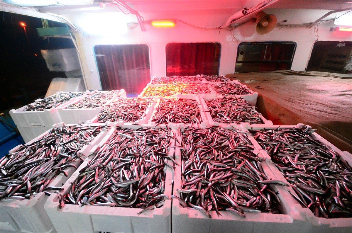Karadeniz'de hamsi bereketi: Kilosu 8 liraya düştü