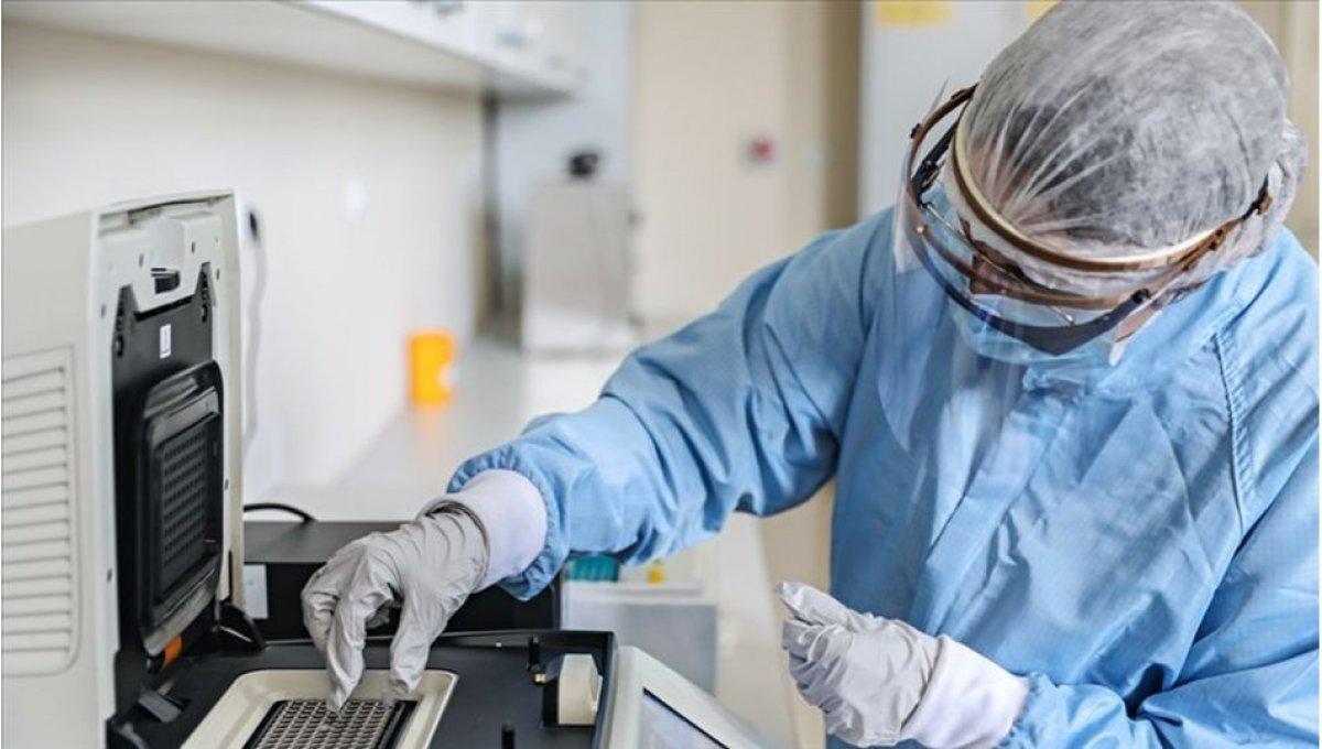 Avrupa ülkeleri, İngiltere uçuşlarını yasaklıyor