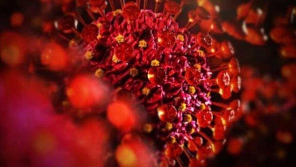 Mutasyon nedir? Koronavirüs mutasyon mu geçirdi? Virüsün mutasyona uğraması ne demek?